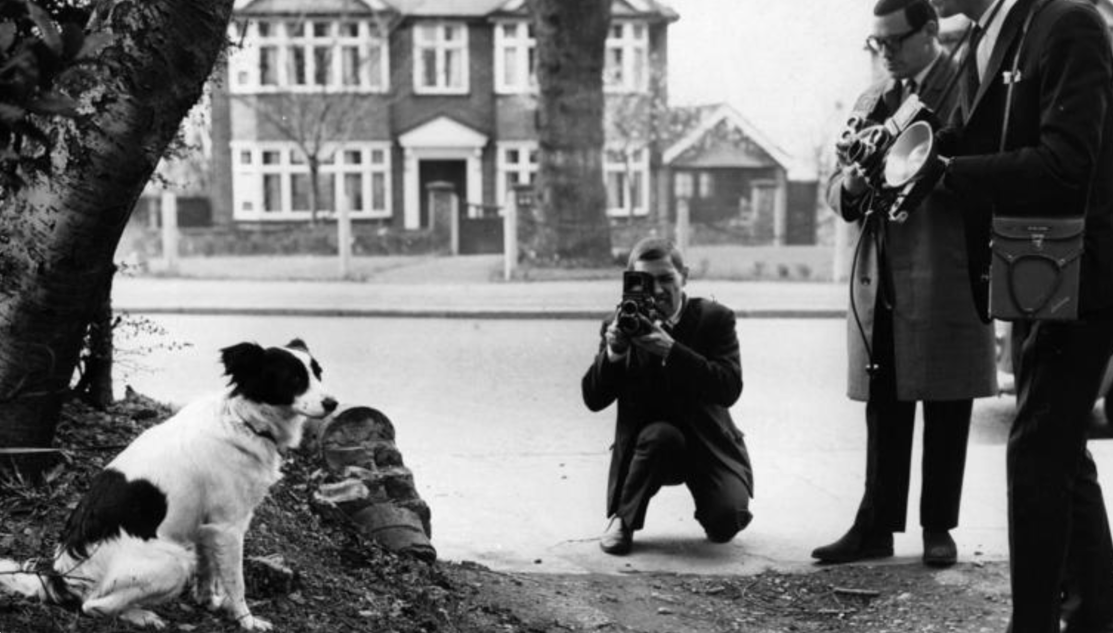 LE CHIEN QUI A RETROUVÉ LA COUPE DU MONDE 🐶⚽